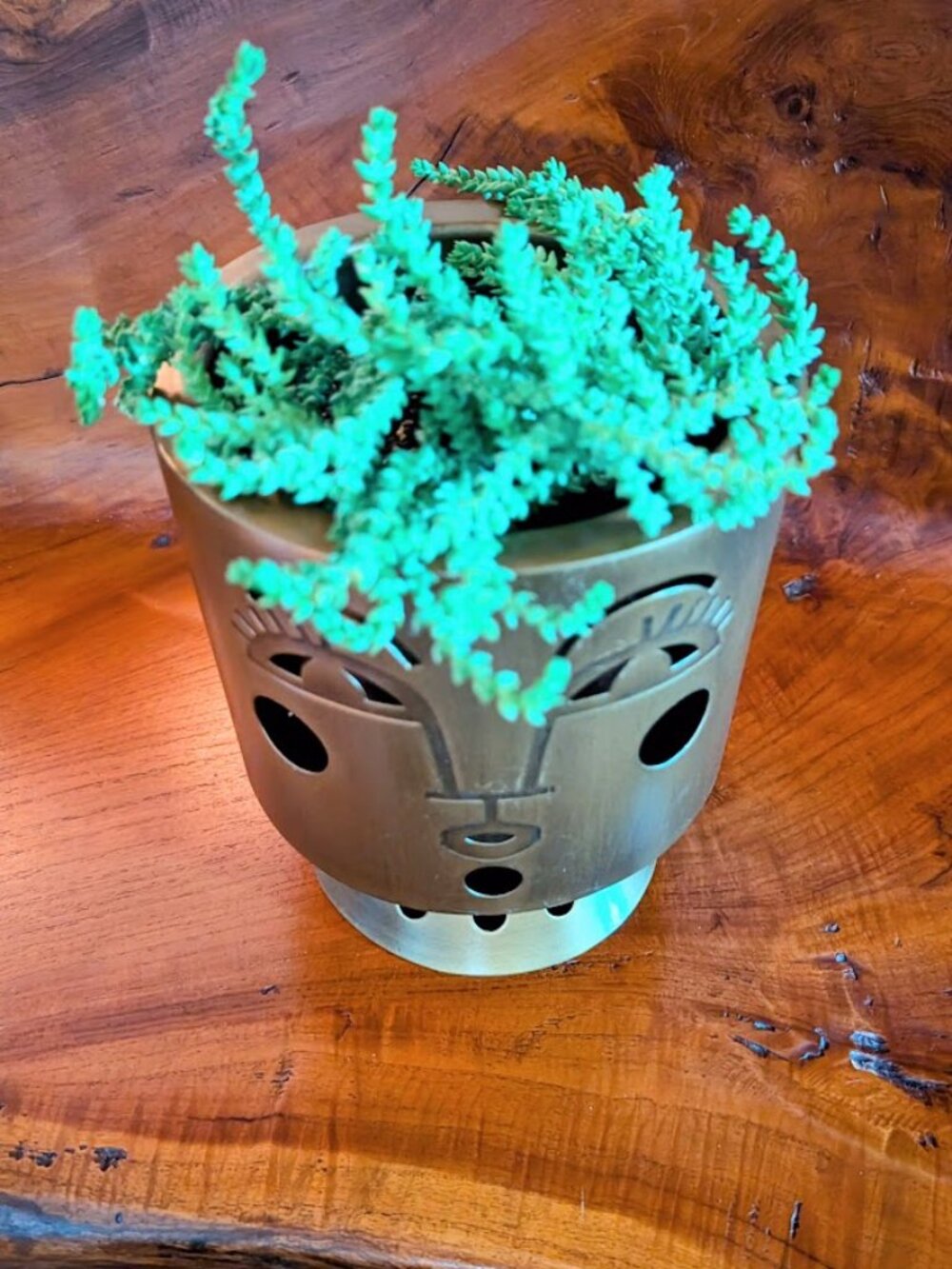 Jungalow - Brass Bette Planter Pot by Justina Blakeney - Picture 3 of 6